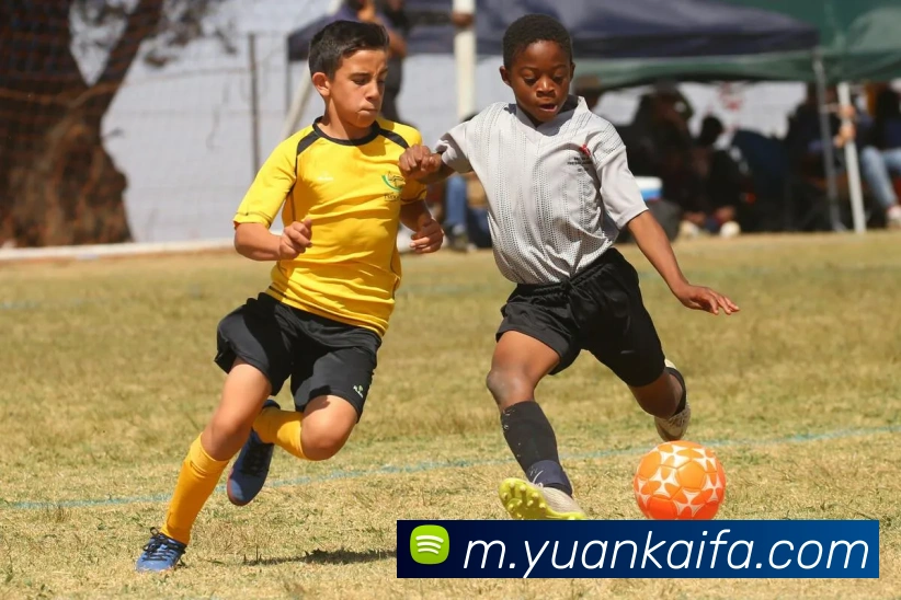 多媒体互动体验